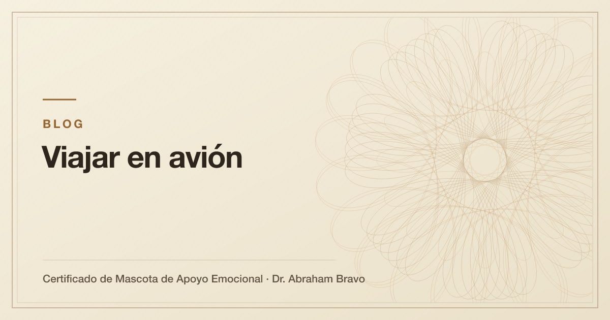 Ilustración del artículo: Ya tengo vuelo: ¿cuánto tiempo antes debo tramitar el certificado?